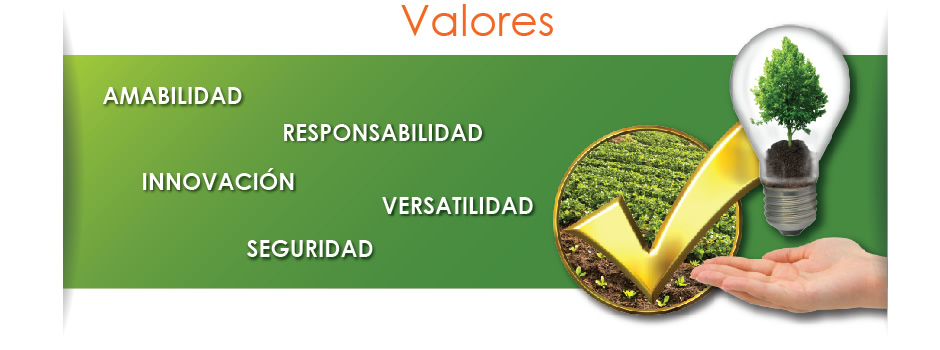 Valores